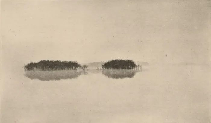 Framed Print : The Lone Lagoon, 1893, printed 1895. Creator: Dr Peter Henry Emerson Framed Print : The Lone Lagoon, 1893, printed 1895. Creator: Dr Peter Henry Emerson