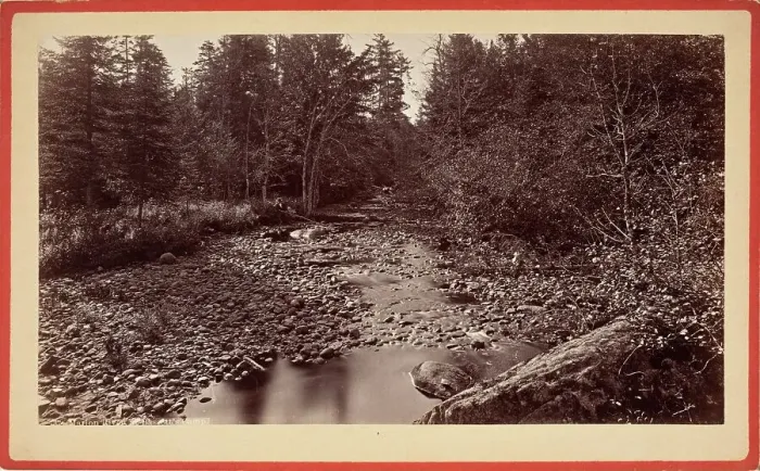 Framed Print : Long Lake, South From Floating Bridge, Printed 1880 circa. Creator: Seneca Ray Stoddard Framed Print : Long Lake, South From Floating Bridge, Printed 1880 circa. Creator: Seneca Ray Stoddard