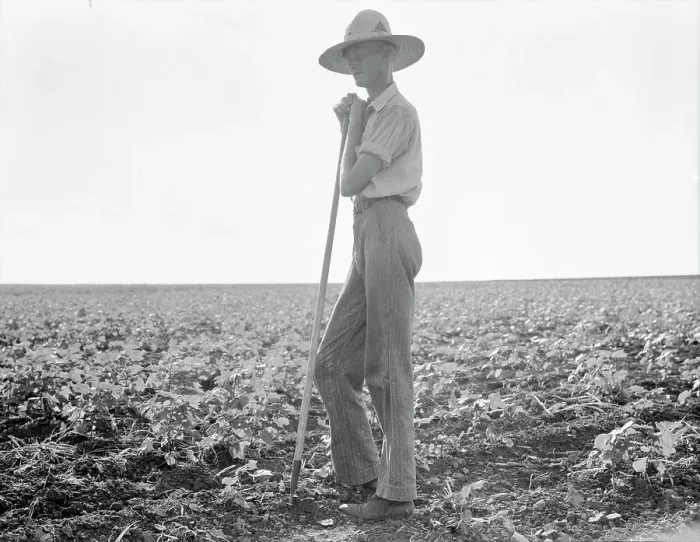 Framed Print : The long line of Texas, Near Dallas, 1936. Creator: Dorothea Lange