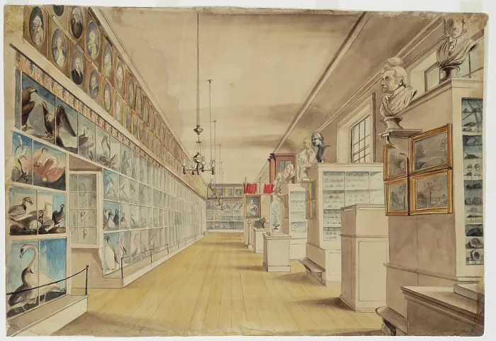 Framed Print : The Long Room, Interior of Front Room in Peale's Museum, 1822 Framed Print : The Long Room, Interior of Front Room in Peale's Museum, 1822