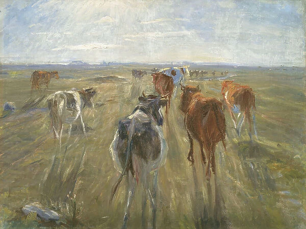 Long Shadows. Cattle on the Island of Saltholm, 1888-1892. Creator: Theodor Esbern Philipsen