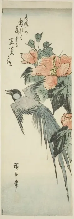 Framed Print : Long-tailed bird and hibiscus, 1830s-1840s. Creator: Ando Hiroshige Framed Print : Long-tailed bird and hibiscus, 1830s-1840s. Creator: Ando Hiroshige