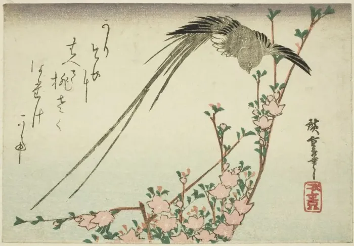 Framed Print : Long-tailed bird and peach blossoms, 1830s. Creator: Ando Hiroshige Framed Print : Long-tailed bird and peach blossoms, 1830s. Creator: Ando Hiroshige