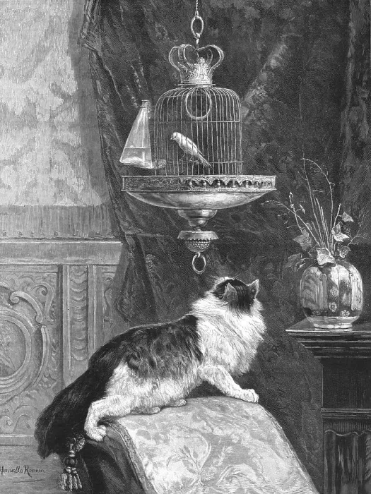 Framed Print : A Longing Look, 1890. Creator: Unknown Framed Print : A Longing Look, 1890. Creator: Unknown