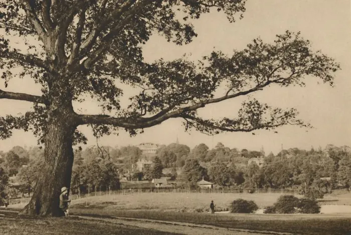 Framed Print : Looking from the Green Slopes of Caen Wood Towards the Church Spire of Old Highgate, c1935 Framed Print : Looking from the Green Slopes of Caen Wood Towards the Church Spire of Old Highgate, c1935