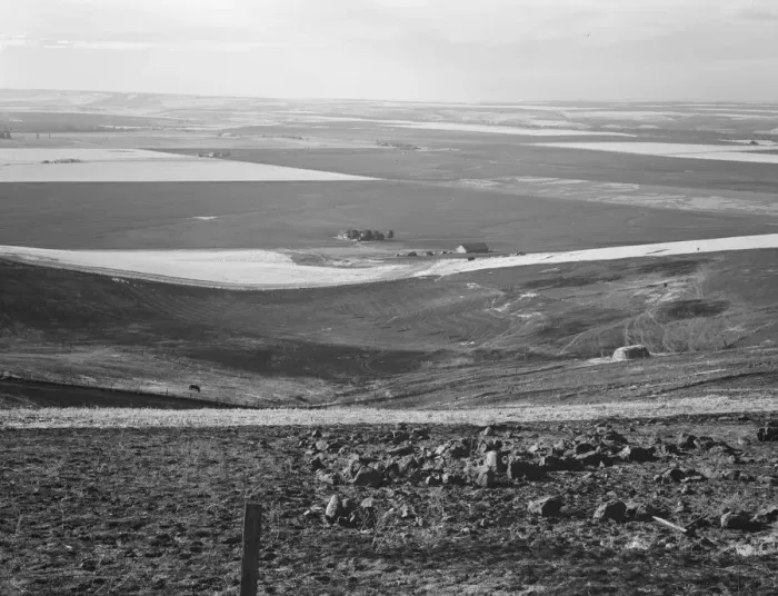 Framed Print : Looking down the newly plowed wheat fields of the Umatilla Valley, Oregon, 1939. Creator: Dorothea Lange Framed Print : Looking down the newly plowed wheat fields of the Umatilla Valley, Oregon, 1939. Creator: Dorothea Lange