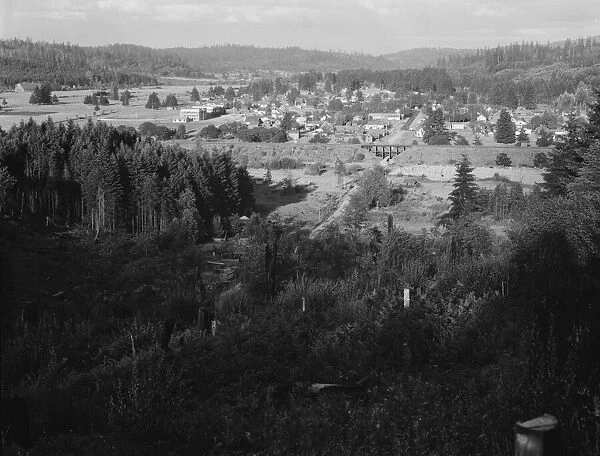 Looking down on western Washington... Tenino, Thurston County, Western Washington, 1939. Creator: Dorothea Lange
