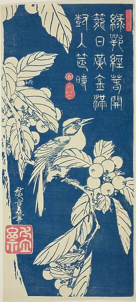 Loquat and bird, c. 1830 / 44. Creator: Ando Hiroshige