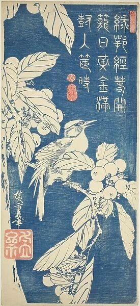 Loquat and bird, early 1830s. Creator: Ando Hiroshige