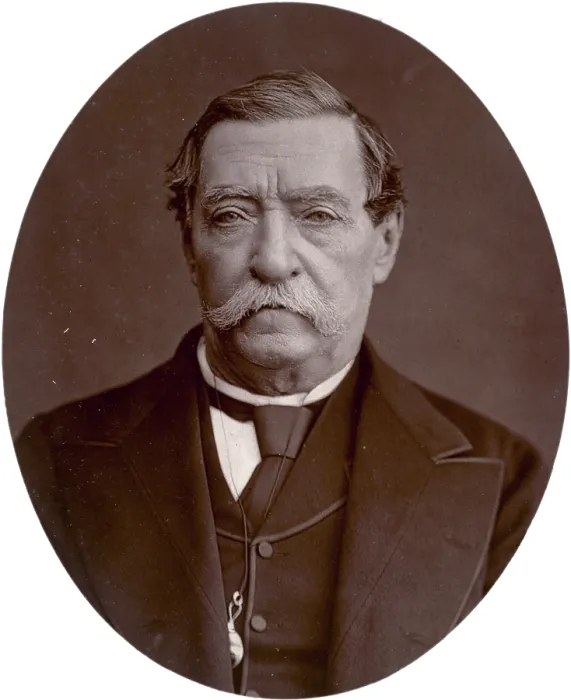 Framed Print : Lord Napier of Magdala, 1878. Creator: Lock & Whitfield Framed Print : Lord Napier of Magdala, 1878. Creator: Lock & Whitfield