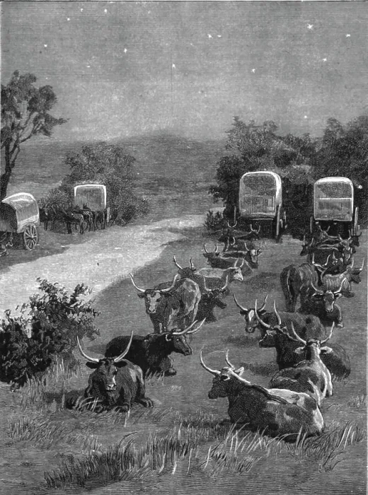 Framed Print : Lord Randolph Churchill in South Africa; The Oxen Outspanned in Camp, 1891. Creator: Major Giles Framed Print : Lord Randolph Churchill in South Africa; The Oxen Outspanned in Camp, 1891. Creator: Major Giles