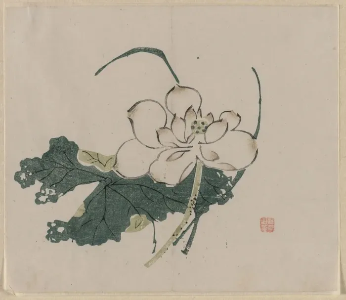Framed Print : Lotus Blossom, 1368-1644. Creator: Unknown Framed Print : Lotus Blossom, 1368-1644. Creator: Unknown