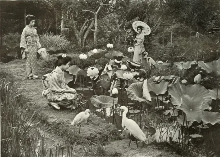 Framed Print : In Lotus-Land, 1910. Creator: Herbert Ponting Framed Print : In Lotus-Land, 1910. Creator: Herbert Ponting