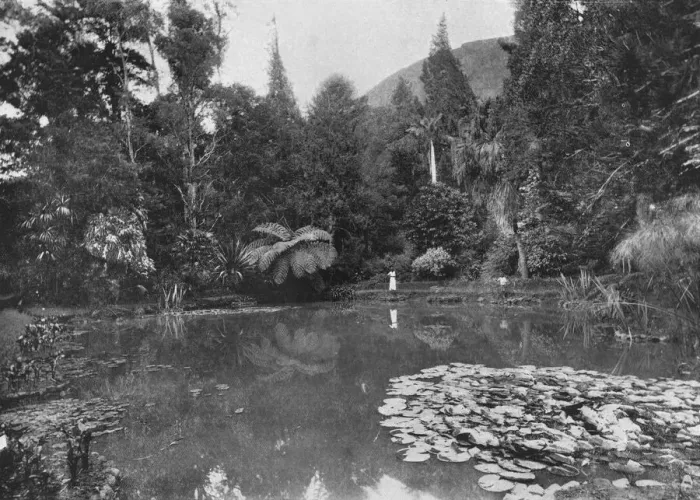Framed Print : The Lotus Pond, Hakgalla Gardens, Nuwara Eliya, c1890, (1910). Artist: Alfred William Amandus Plate Framed Print : The Lotus Pond, Hakgalla Gardens, Nuwara Eliya, c1890, (1910). Artist: Alfred William Amandus Plate