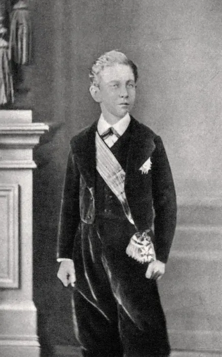 Framed Print : Louis Napoleon, Prince Imperial, c1865-1868 Framed Print : Louis Napoleon, Prince Imperial, c1865-1868