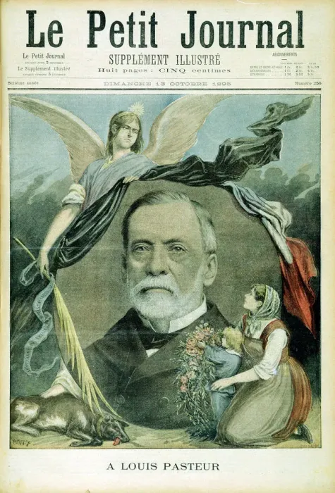 Framed Print : Louis Pasteur, French chemist, 1895 Framed Print : Louis Pasteur, French chemist, 1895