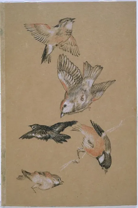 Framed Print : Love leading the Pilgrim - Study of Birds: Finches, 1897. Creator: Sir Edward Coley Burne-Jones Framed Print : Love leading the Pilgrim - Study of Birds: Finches, 1897. Creator: Sir Edward Coley Burne-Jones