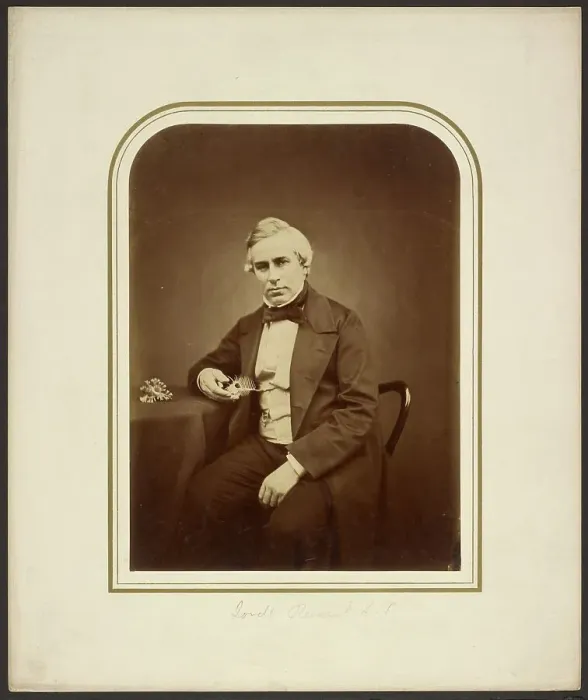 Framed Print : Lovell Reeve, F.L.S. 1854-1865. Creator: Maull & Polyblank Framed Print : Lovell Reeve, F.L.S. 1854-1865. Creator: Maull & Polyblank