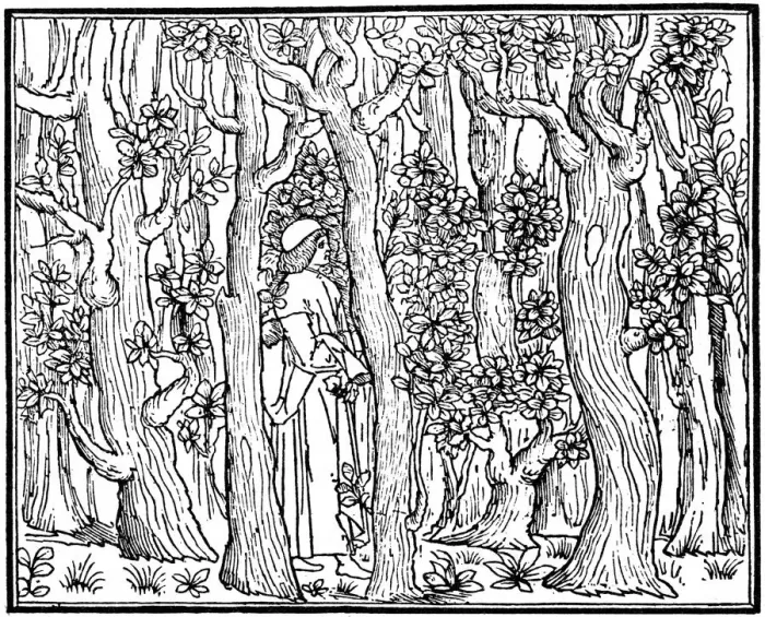 Framed Print : The Lover in the Wood, 1499 (1964) Framed Print : The Lover in the Wood, 1499 (1964)