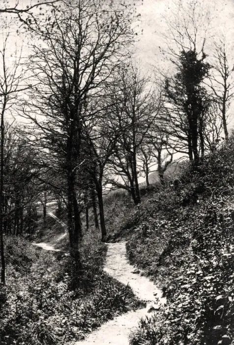 Framed Print : Lovers Lane, Fairlight, Hastings, Sussex Framed Print : Lovers Lane, Fairlight, Hastings, Sussex