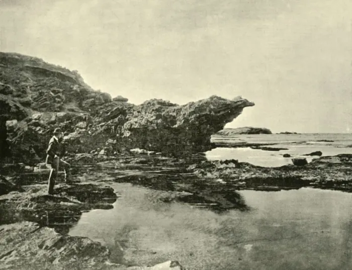 Framed Print : Low Tide, Shelly Beach, Warrnambool, 1901. Creator: Unknown Framed Print : Low Tide, Shelly Beach, Warrnambool, 1901. Creator: Unknown