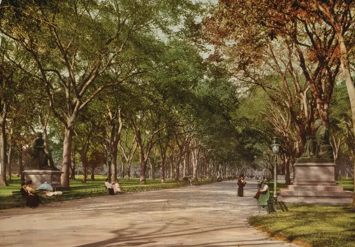Framed Print : Lower end of mall, Central Park, New York, c1901. Creator: Unknown Framed Print : Lower end of mall, Central Park, New York, c1901. Creator: Unknown