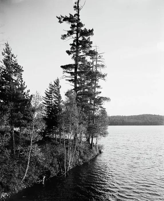Framed Print : Lower St. Regis Lake, Adirondack Mts. N.Y. between 1900 and 1905. Creator: Unknown Framed Print : Lower St. Regis Lake, Adirondack Mts. N.Y. between 1900 and 1905. Creator: Unknown