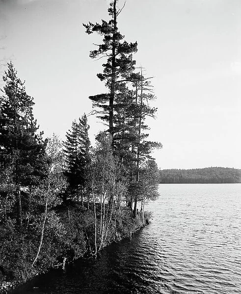 Lower St. Regis Lake, Adirondack Mts. N.Y. between 1900 and 1905. Creator: Unknown