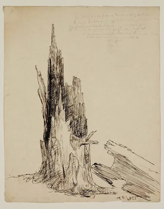 Framed Print : Lower Part of a Tree 'Recently Fallen', 1825. Creator: Thomas Cole Framed Print : Lower Part of a Tree 'Recently Fallen', 1825. Creator: Thomas Cole