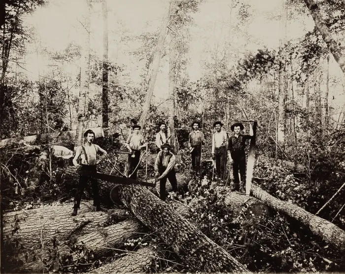 Framed Print : Lumbering Days in Ludington, Michigan, 1890. Creator: H. J. Hansen Framed Print : Lumbering Days in Ludington, Michigan, 1890. Creator: H. J. Hansen