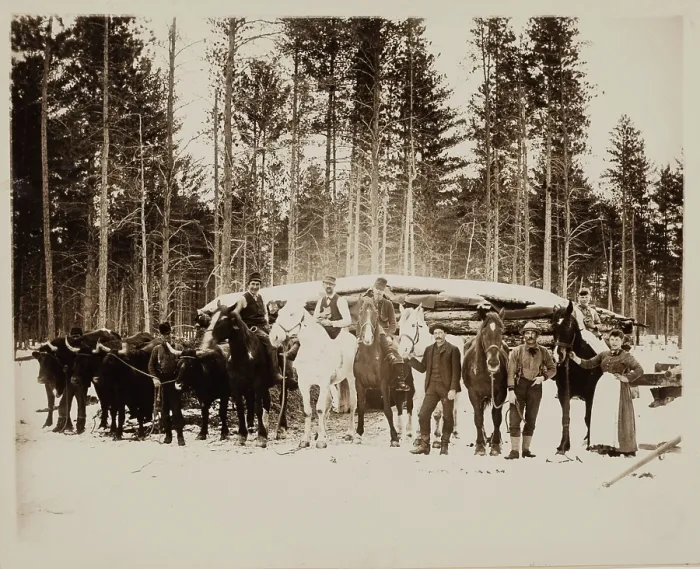 Framed Print : Lumbering Days in Ludington, Michigan, 1890. Creator: H. J. Hansen Framed Print : Lumbering Days in Ludington, Michigan, 1890. Creator: H. J. Hansen