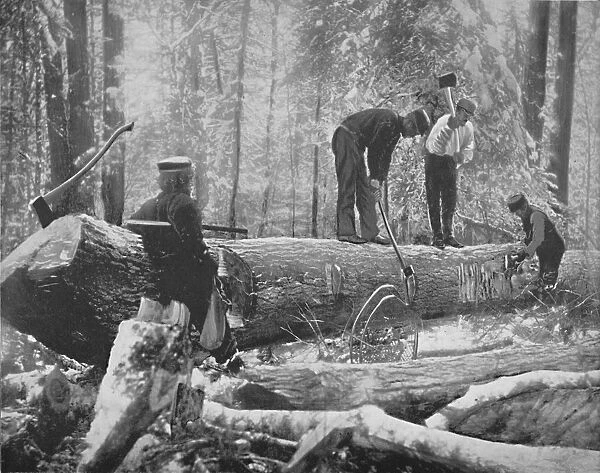 Lumbering on the Ottawa River, Canada, c1897. Creator: Unknown