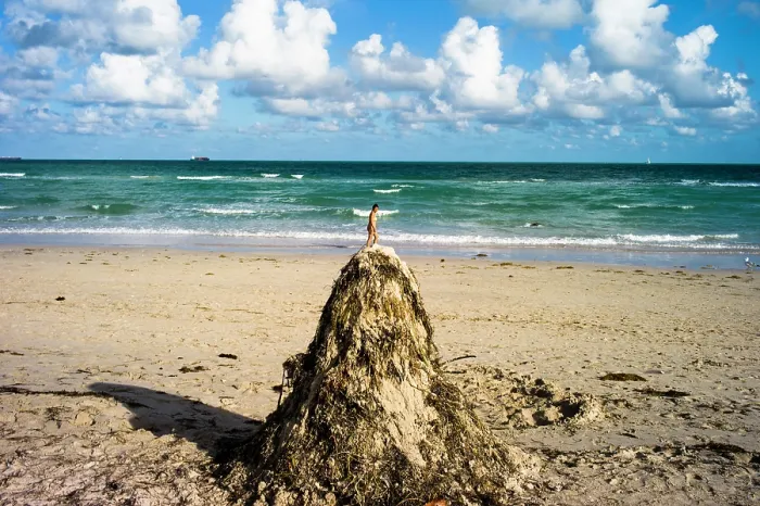Framed Print : Lummus Park, Miami Beach, Miami, FL. Creator: Chris Suspect Framed Print : Lummus Park, Miami Beach, Miami, FL. Creator: Chris Suspect