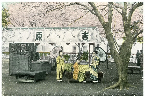 Lunch stand in a public park, Japan, 1904