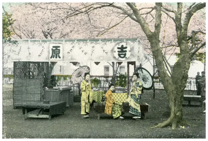 Framed Print : Lunch stand in a public park, Japan, 1904 Framed Print : Lunch stand in a public park, Japan, 1904