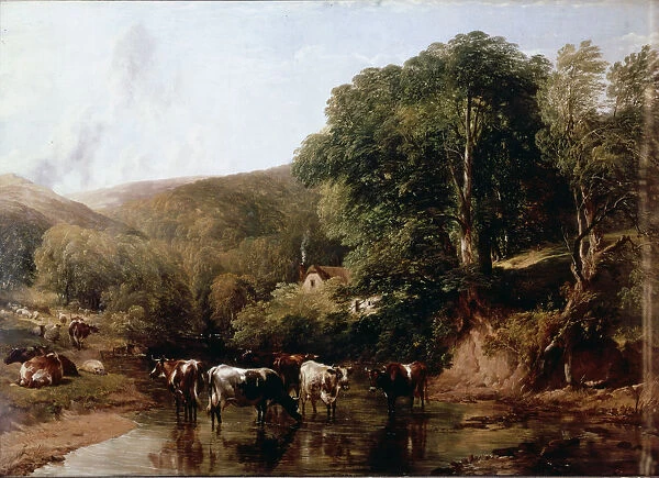A lush canyon with cattle by T. S. Cooper