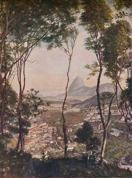 Luxuriant woods on the hill of Santa Thereza looking down upon the roofs of Lapa, c1935