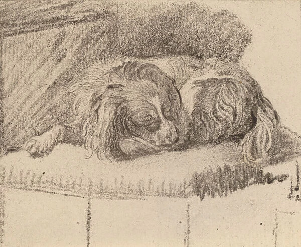 Lying Dog, 1777. Creator: Cornelis Brouwer