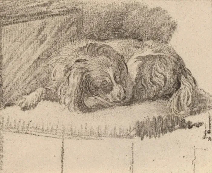 Framed Print : Lying Dog, 1777. Creator: Cornelis Brouwer Framed Print : Lying Dog, 1777. Creator: Cornelis Brouwer
