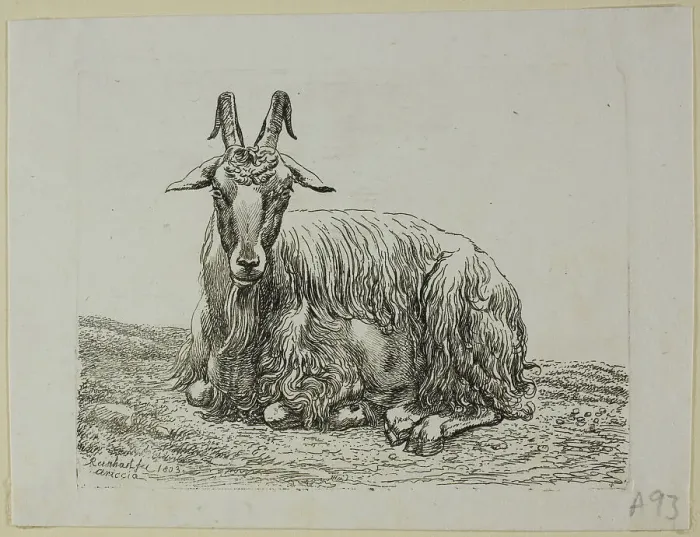 Framed Print : Lying Goat, from Die Zweite Thierfolge, 1800. Creator: Johann Christian Reinhart Framed Print : Lying Goat, from Die Zweite Thierfolge, 1800. Creator: Johann Christian Reinhart