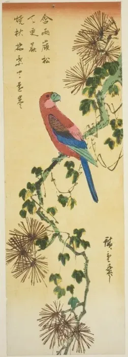 Framed Print : Macaw on ivy-covered pine branch, n. d. Creator: Ando Hiroshige Framed Print : Macaw on ivy-covered pine branch, n. d. Creator: Ando Hiroshige