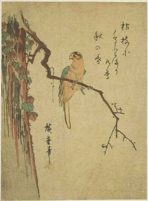 Framed Print : Macaw on ivy-covered tree, 1830s. Creator: Ando Hiroshige Framed Print : Macaw on ivy-covered tree, 1830s. Creator: Ando Hiroshige