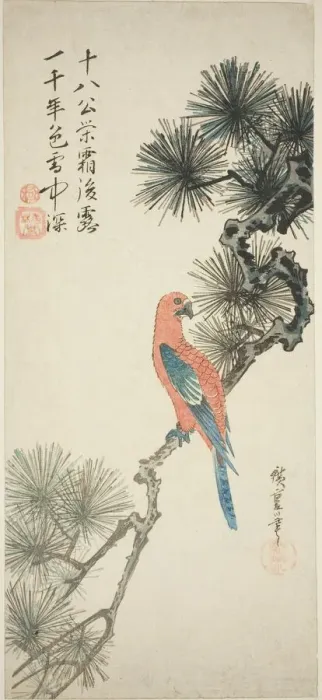 Framed Print : Macaw on a pine branch, c. 1835. Creator: Ando Hiroshige Framed Print : Macaw on a pine branch, c. 1835. Creator: Ando Hiroshige