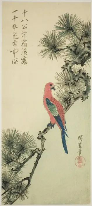 Framed Print : Macaw on a pine branch, c. 1835. Creator: Ando Hiroshige Framed Print : Macaw on a pine branch, c. 1835. Creator: Ando Hiroshige