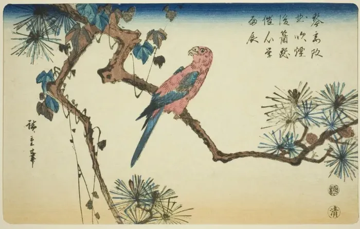 Framed Print : Macaw on pine branch, c. 1840 / 44. Creator: Ando Hiroshige Framed Print : Macaw on pine branch, c. 1840 / 44. Creator: Ando Hiroshige