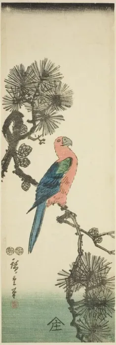 Framed Print : Macaw on pine branch, c. 1847 / 52. Creator: Ando Hiroshige Framed Print : Macaw on pine branch, c. 1847 / 52. Creator: Ando Hiroshige