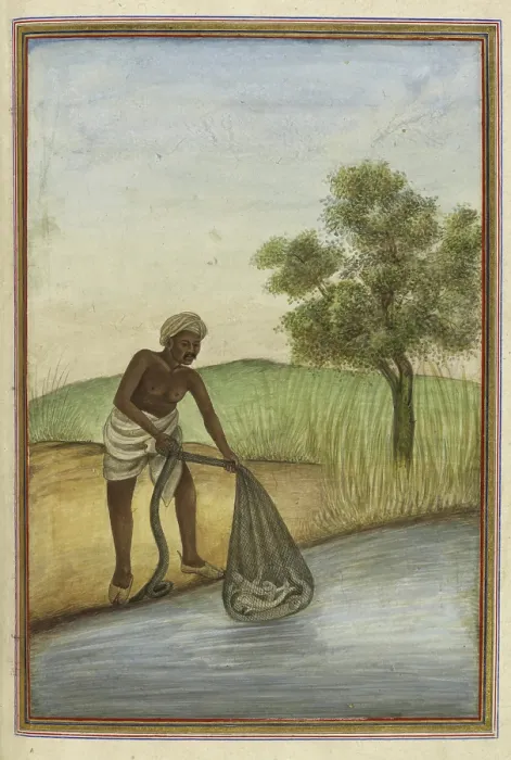 Framed Print : Macchi, a Muslim caste of fishermen, 1825. Creator: Anon Framed Print : Macchi, a Muslim caste of fishermen, 1825. Creator: Anon