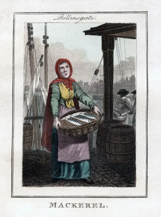 Framed Print : Mackerel, Billingsgate, London, 1805 Framed Print : Mackerel, Billingsgate, London, 1805