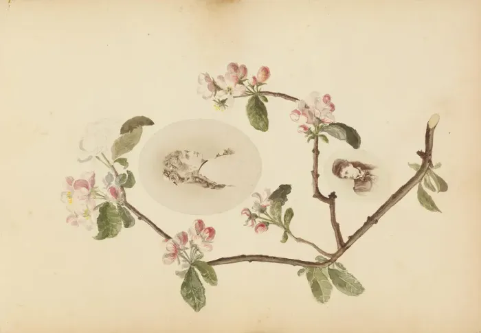 Framed Print : The Madame B Album, 1870s. Creator: Marie Blanche Hennelle Fournier Framed Print : The Madame B Album, 1870s. Creator: Marie Blanche Hennelle Fournier