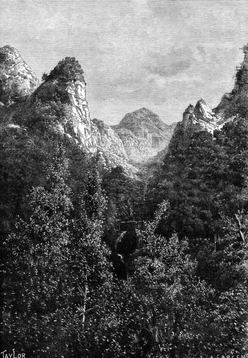 Framed Print : Madeira, Portugal, 1895. Artist: Taylor Framed Print : Madeira, Portugal, 1895. Artist: Taylor